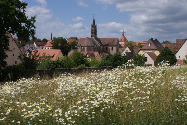 Heilsbronner Münster
